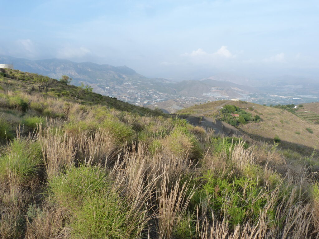 0484 – Parcela en Salobreña