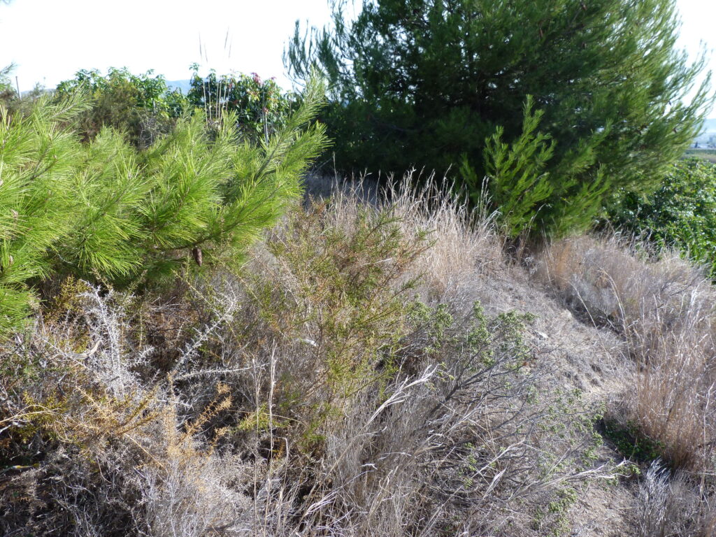 0615 – Terreno en Salobreña