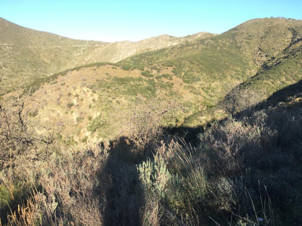 0378 – Parcela De Tierra en Jurite